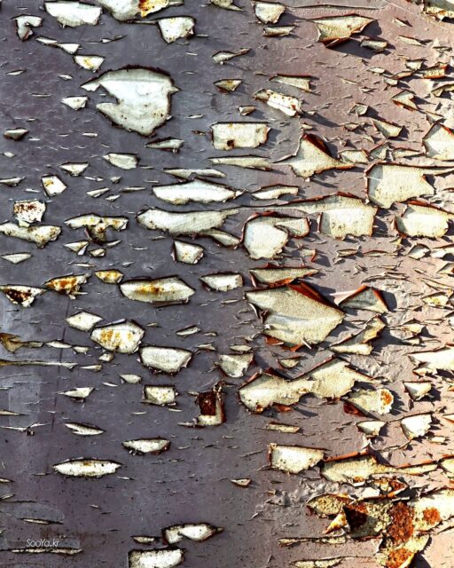 <가을을 남기고 떠난>
http://sooya.kr
.
#cyber사이비사진전
#수야의관점놀이 #viewpoint_play
#거짓말이야기
#자그마한이야기
#스마트폰사진 #smartphone_photos