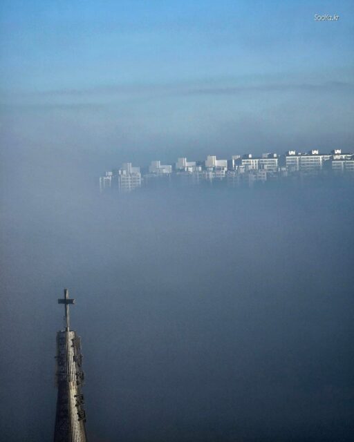 <가을 향>
http://sooya.kr
.
#cyber사이비사진전
#수야의관점놀이 #viewpoint_play
#거짓말이야기
#자그마한이야기
#스마트폰사진 #smartphone_photos