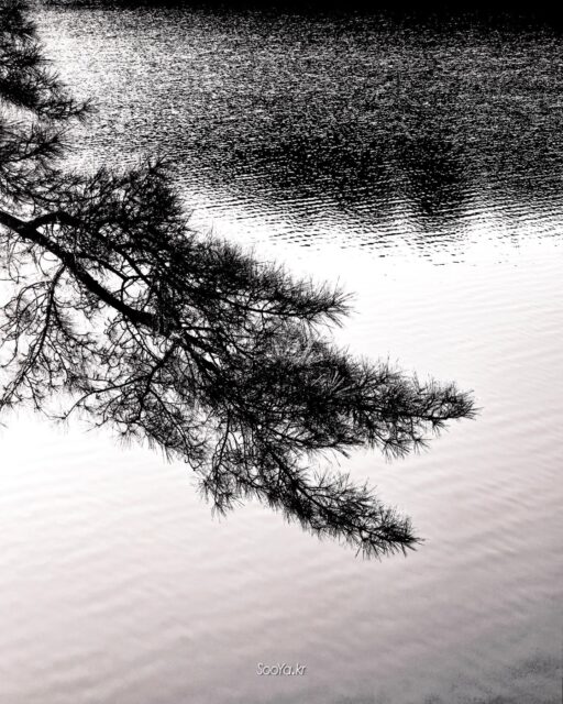 <흐름>
http://sooya.kr
.
#cyber사이비사진전
#수야의관점놀이 #viewpoint_play
#거짓말이야기
#자그마한이야기
#스마트폰사진 #smartphone_photos