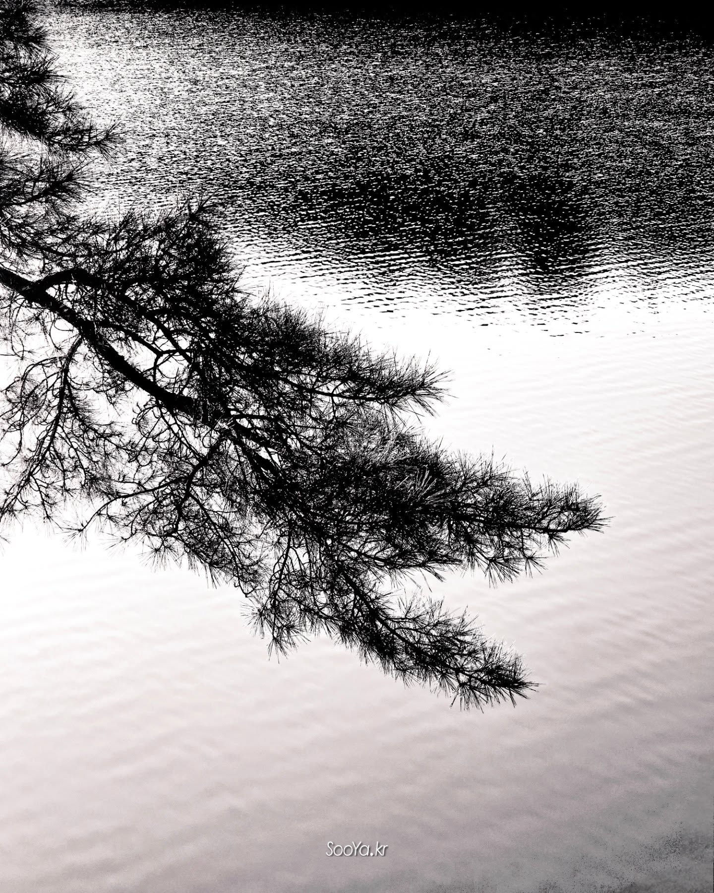 <흐름>
http://sooya.kr
.
#cyber사이비사진전
#수야의관점놀이 #viewpoint_play
#거짓말이야기
#자그마한이야기
#스마트폰사진 #smartphone_photos