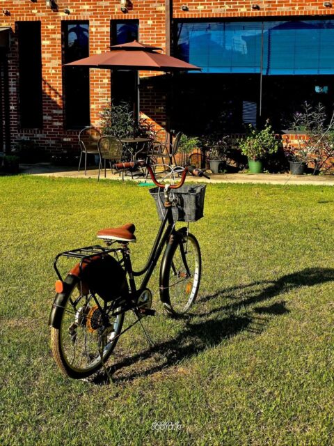 <가울 마당>
http://sooya.kr
.
#cyber사이비사진전
#수야의관점놀이 #viewpoint_play
#거짓말이야기
#자그마한이야기
#스마트폰사진 #smartphone_photos