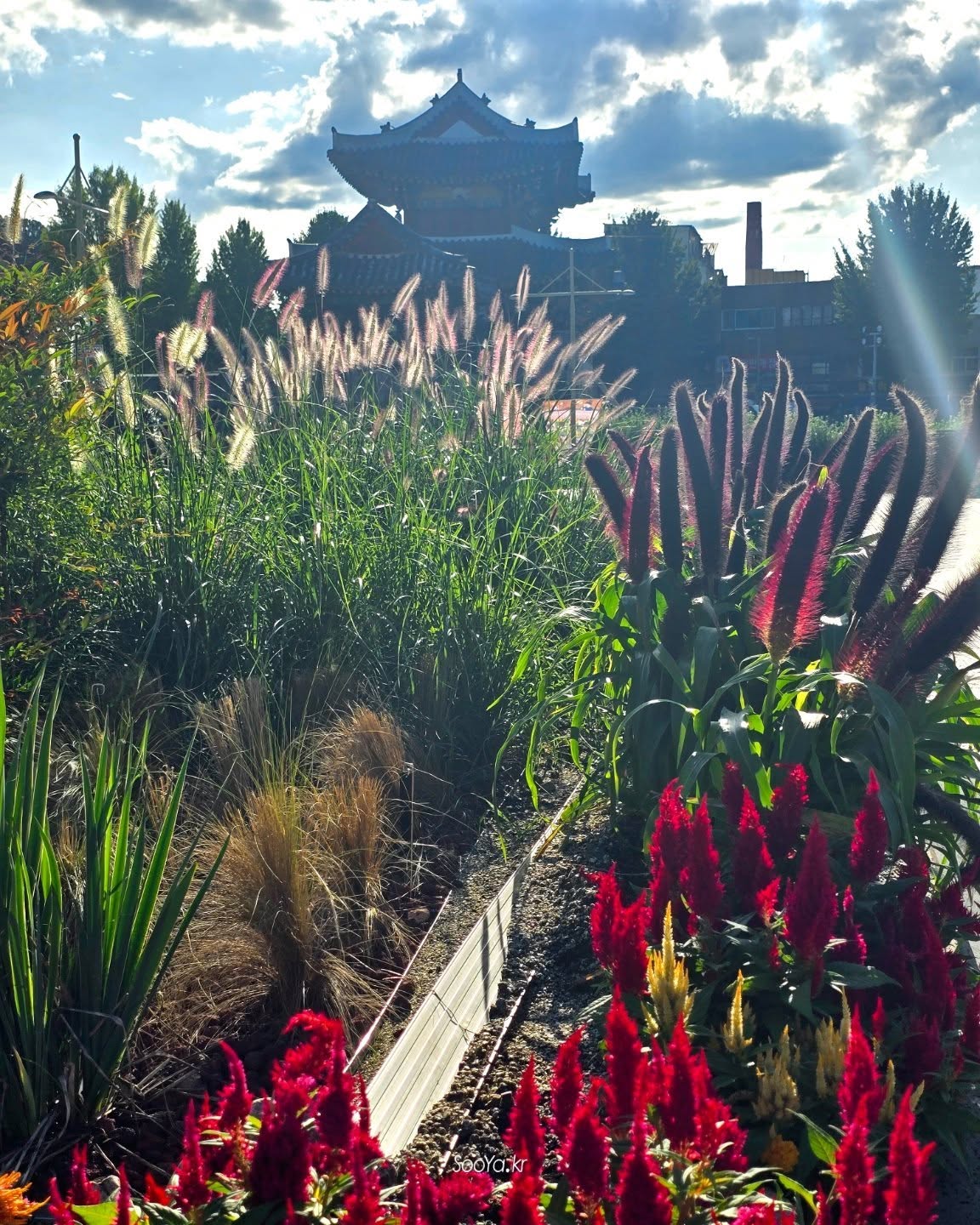 <풍폐정원>
http://sooya.kr
.
#cyber사이비사진전
#수야의관점놀이 #viewpoint_play
#거짓말이야기
#자그마한이야기
#스마트폰사진 #smartphone_photos