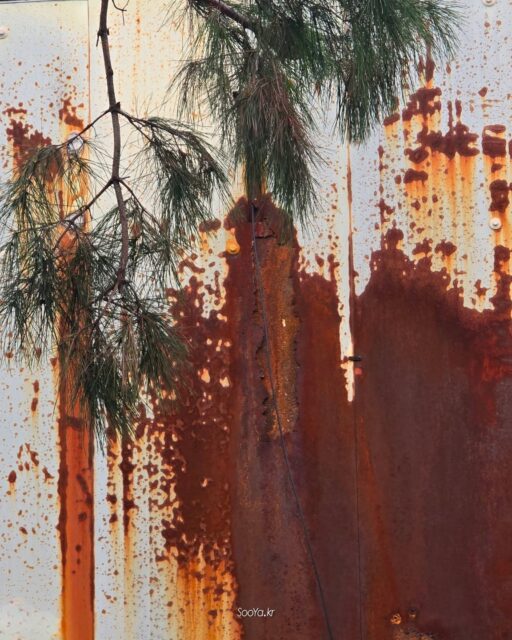 <페인팅>
http://sooya.kr
.
#cyber사이비사진전
#수야의관점놀이 #viewpoint_play
#거짓말이야기
#자그마한이야기
#스마트폰사진 #smartphone_photos