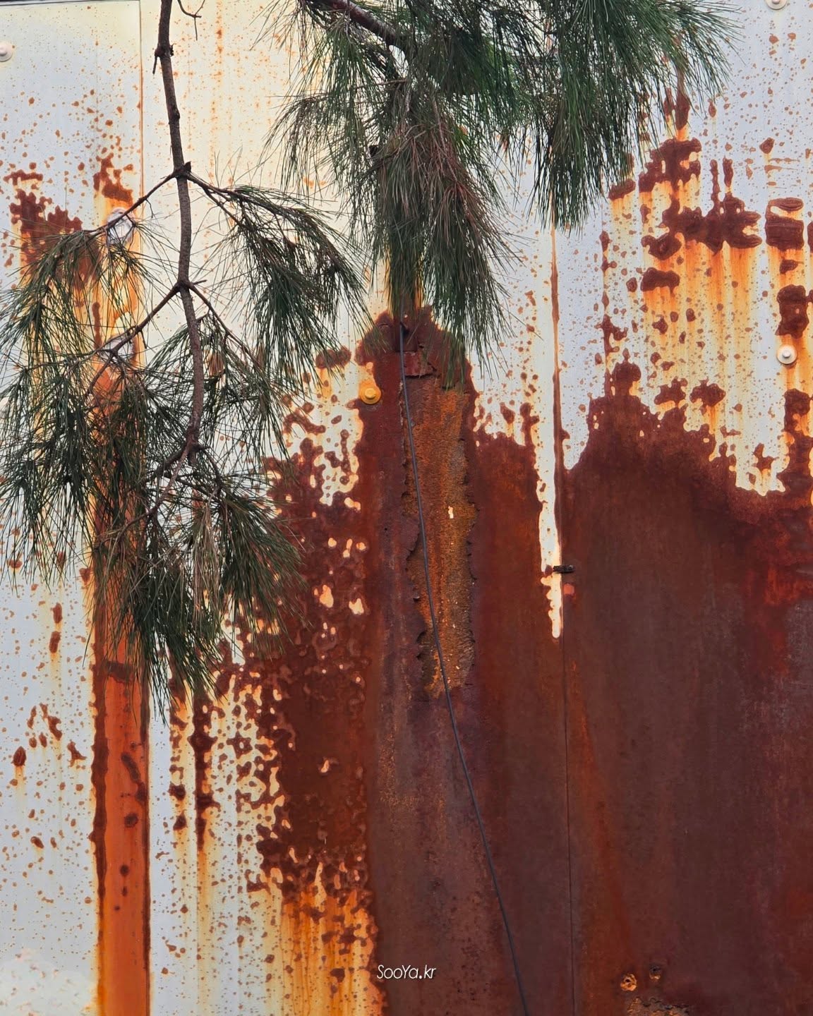 <페인팅>
http://sooya.kr
.
#cyber사이비사진전
#수야의관점놀이 #viewpoint_play
#거짓말이야기
#자그마한이야기
#스마트폰사진 #smartphone_photos