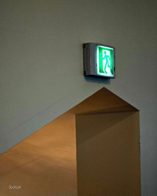 <비상>
http://sooya.kr
.
#cyber사이비사진전
#수야의관점놀이 #viewpoint_play
#거짓말이야기
#자그마한이야기
#스마트폰사진 #smartphone_photos