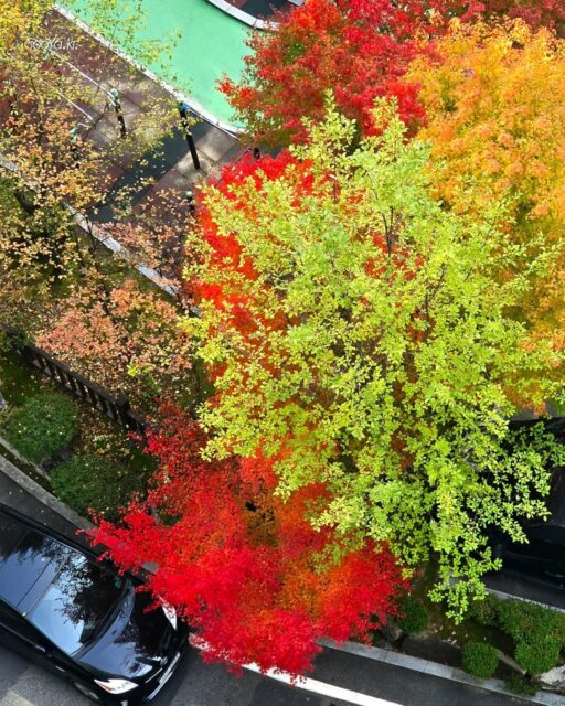 <창가 뷰>
http://sooya.kr
.
#cyber사이비사진전
#수야의관점놀이 #viewpoint_play
#거짓말이야기
#자그마한이야기
#스마트폰사진 #smartphone_photos