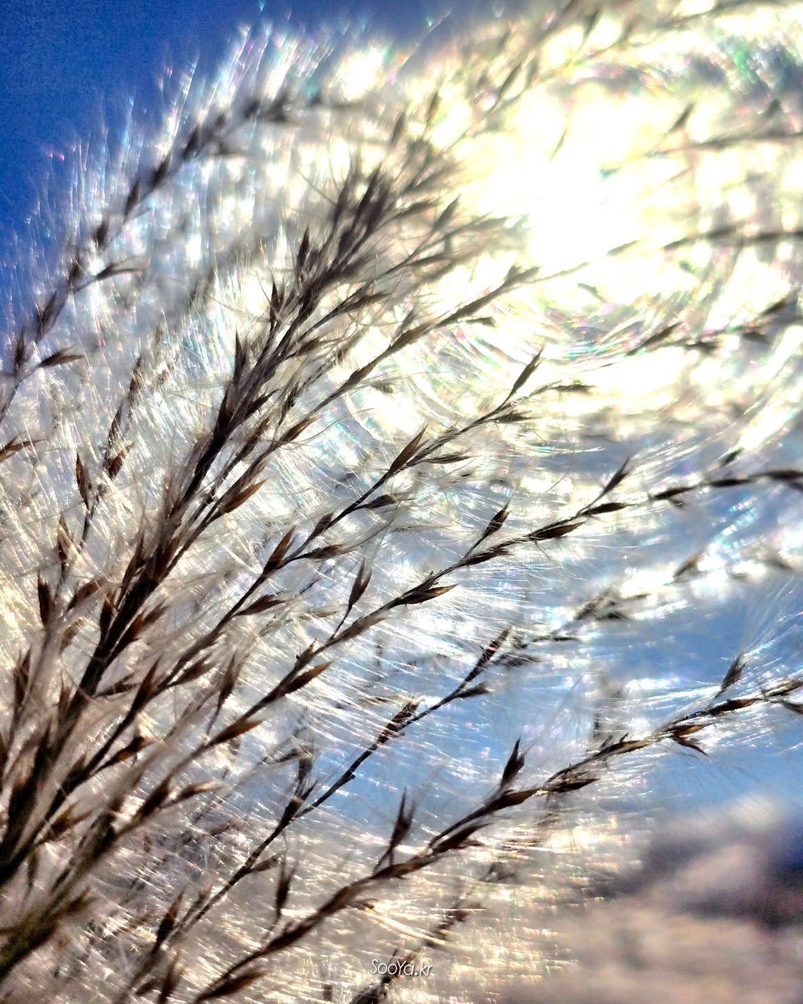 <빛, 파동입자>

http://sooya.kr

#cyber사이비사진전
#수야의관점놀이
#거짓말이야기
#자그마한이야기