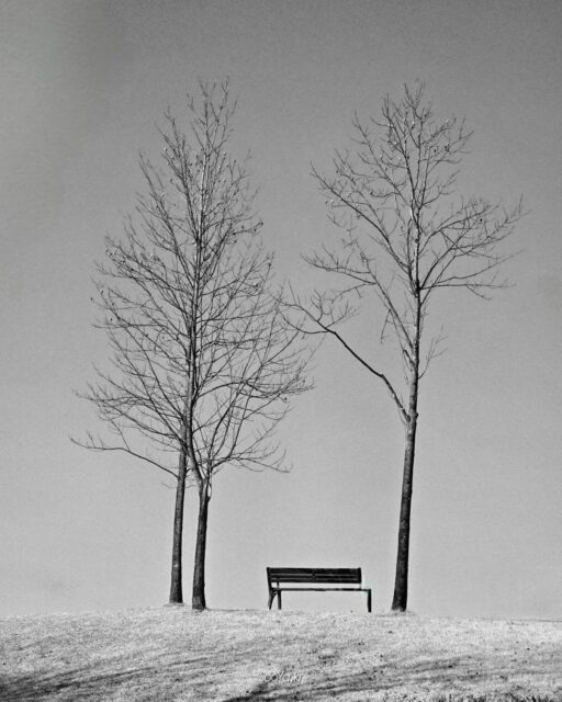 <빈 바람>

http://sooya.kr

#cyber사이비사진전
#수야의관점놀이
#거짓말이야기
#자그마한이야기