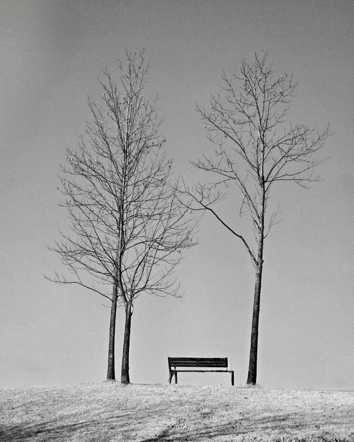 <빈 바람>

http://sooya.kr

#cyber사이비사진전
#수야의관점놀이
#거짓말이야기
#자그마한이야기