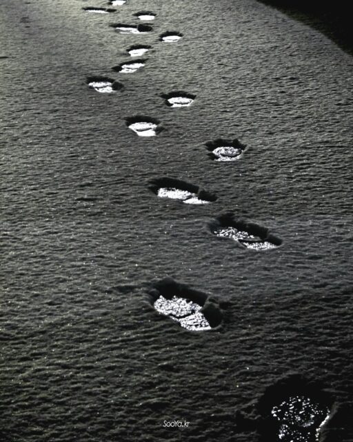 <하얀 걸음>

http://sooya.kr

#cyber사이비사진전
#수야의관점놀이
#거짓말이야기
#자그마한이야기