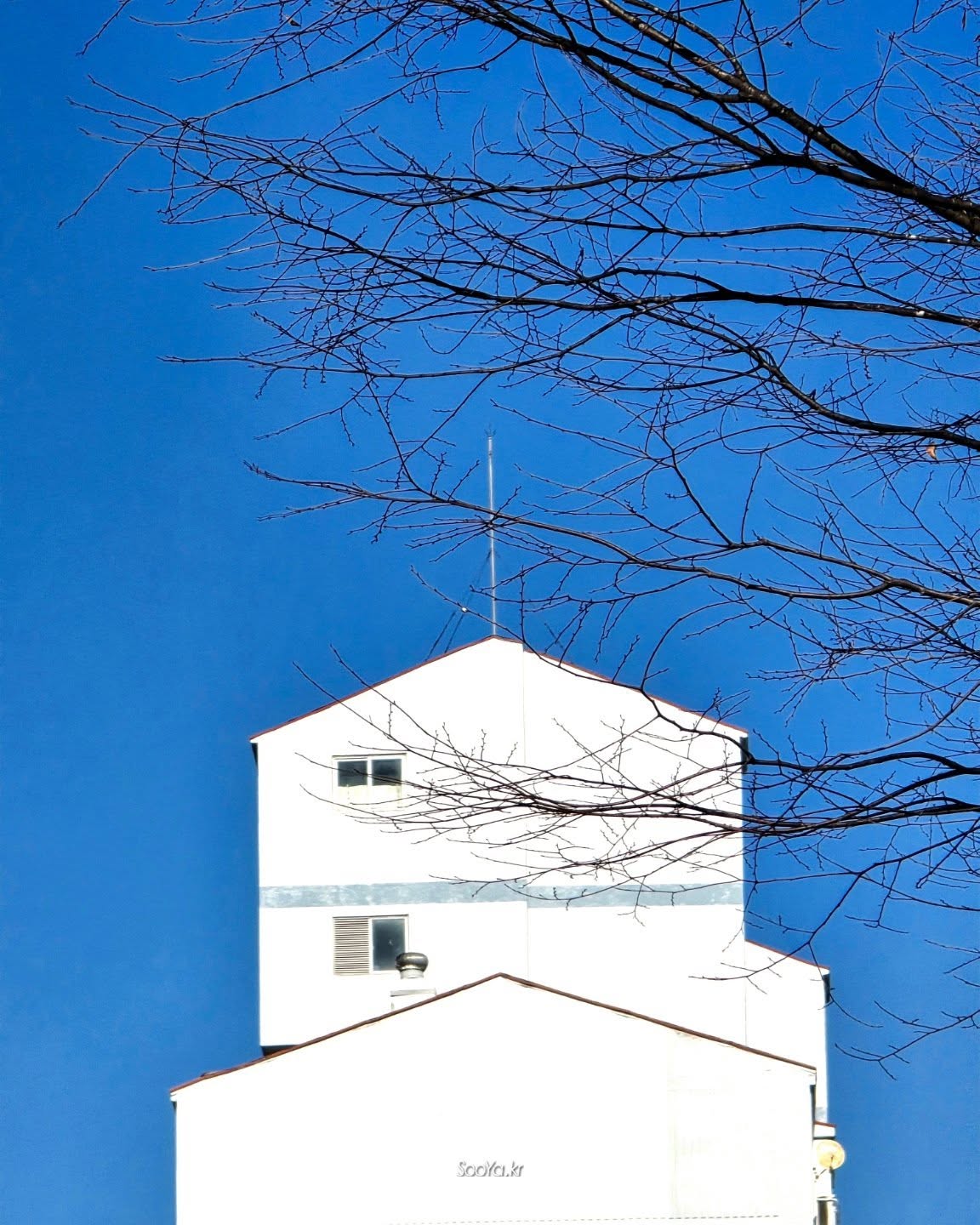 <寒>

http://sooya.kr

#cyber사이비사진전
#수야의관점놀이
#거짓말이야기
#자그마한이야기