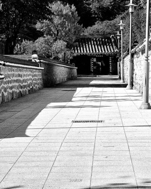 <학교 가는 길>
http://sooya.kr
#cyber사이비사진전
#수야의관점놀이1_거짓말이야기
#수야의관점놀이2_자그마한이야기
#이게_시집여?
